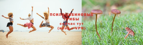 экстази Коряжма