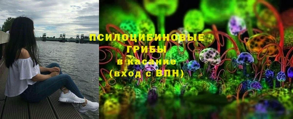 круглые Корсаков