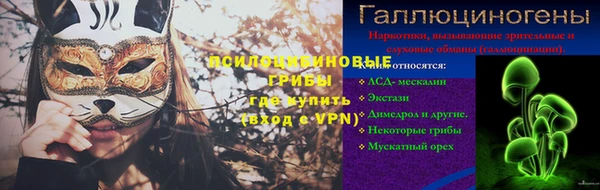 круглые Корсаков