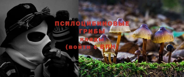 экстази Коряжма
