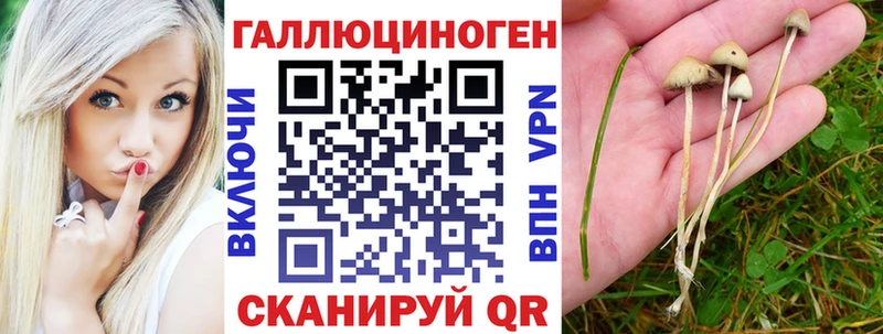Купить закладки  Усмань  Псилоцибиновые грибы MAGIC MUSHROOMS 