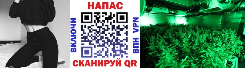 Купить где  Усмань  Марихуана Amnesia 